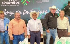 El Tiempo San Luis