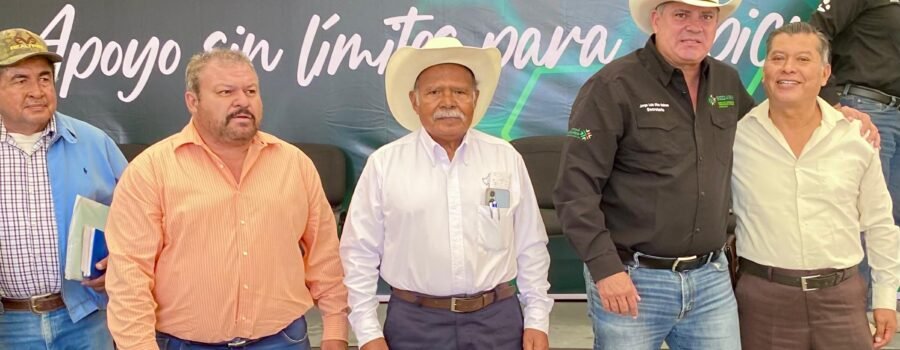 El Tiempo San Luis