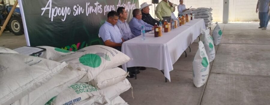 El Tiempo San Luis