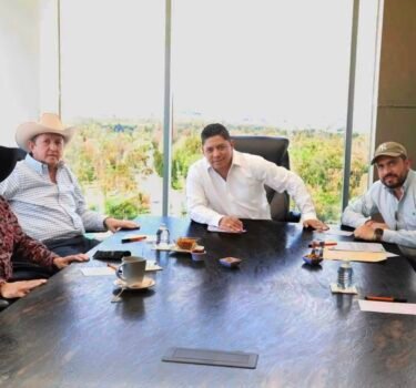 El Tiempo San Luis