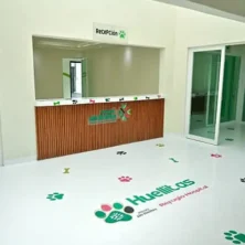 El Tiempo San Luis