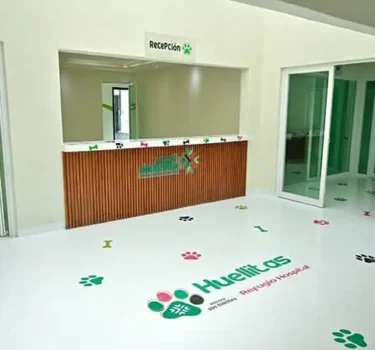 El Tiempo San Luis